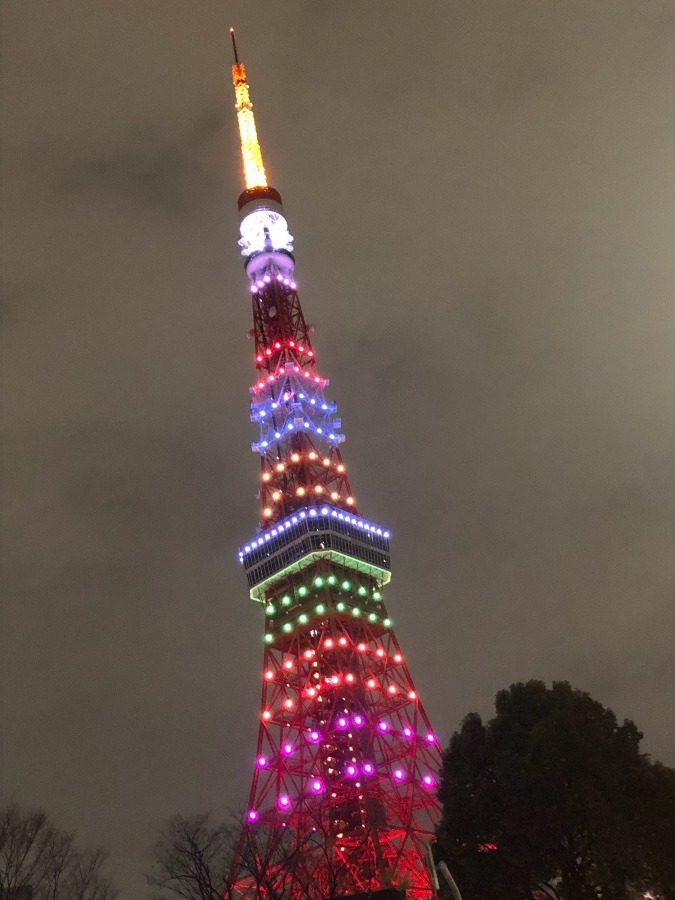 去年の１２月２５日 の