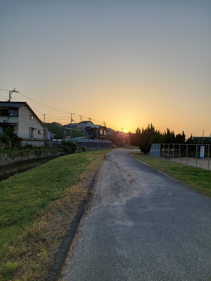 夕日