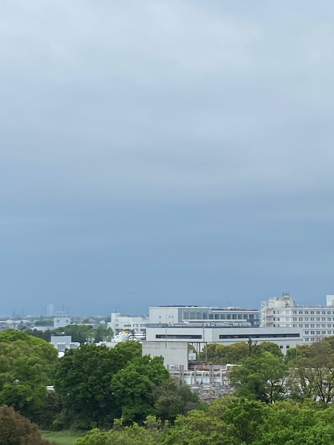 今朝の富士山