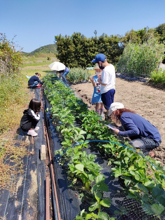 山口美人トリオ🍓