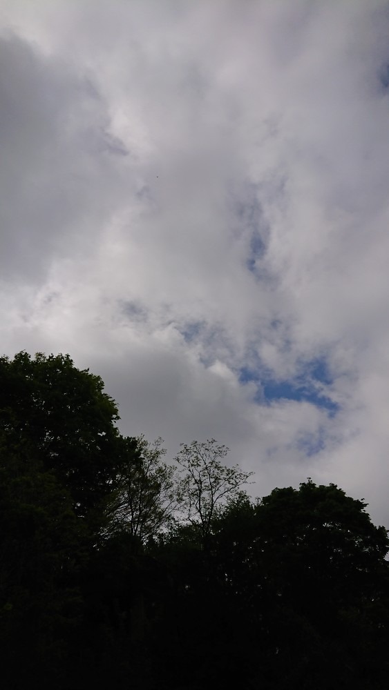 今の空☁️