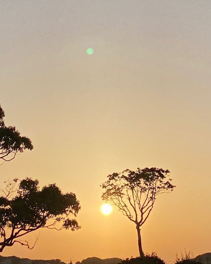 今日の夕陽✨