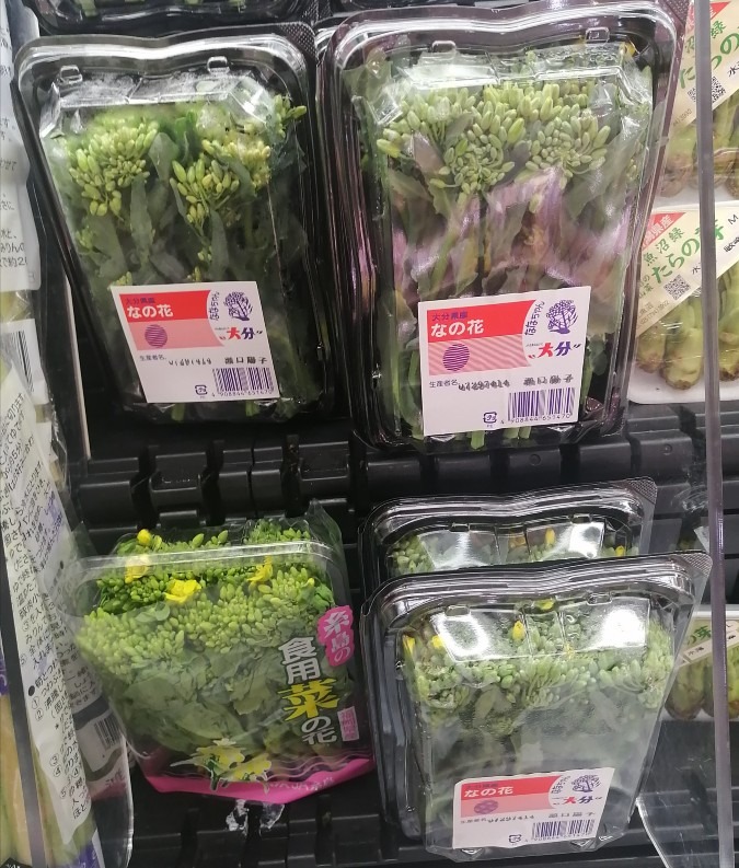 食用菜の花　