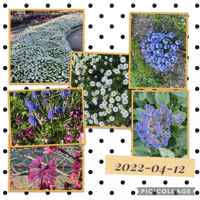 花倶楽部🥰🥰