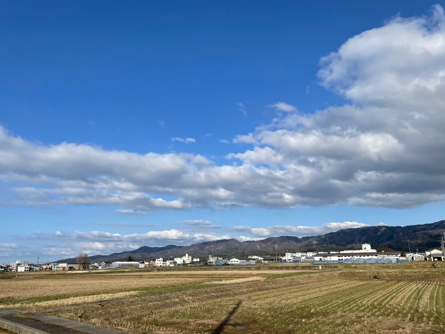 春の空