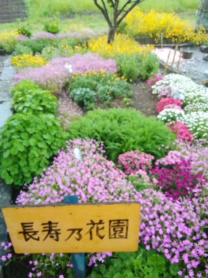 長寿の花園