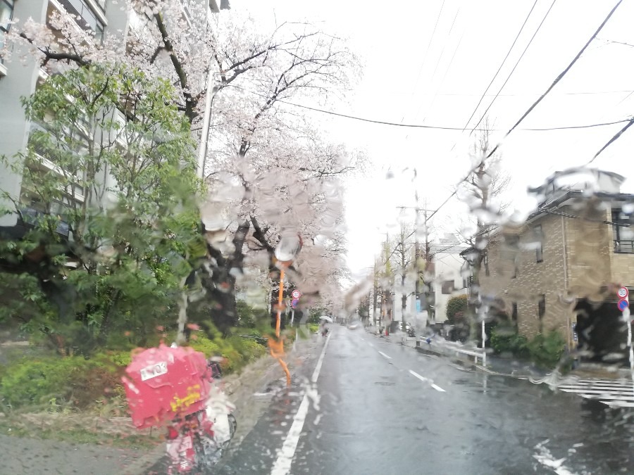 連日の雨