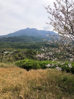 桜島恐竜公園から望む桜島岳