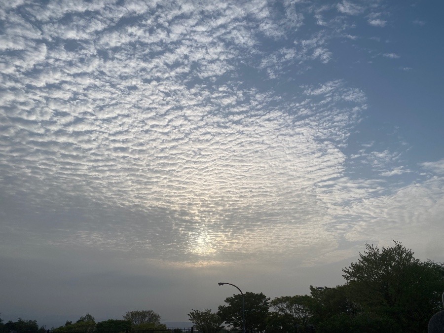 今朝の空