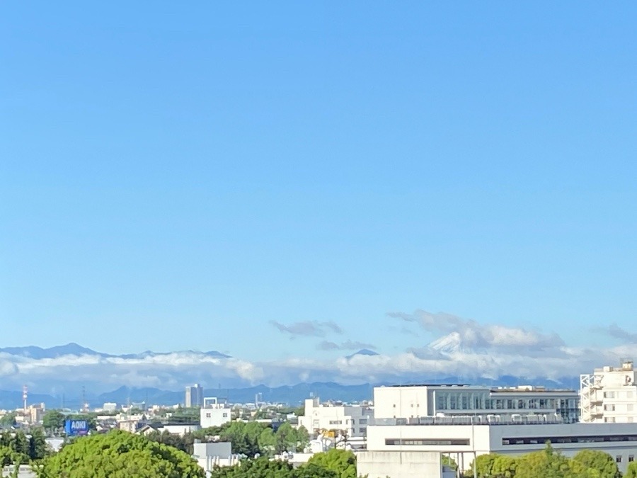 今朝の富士山