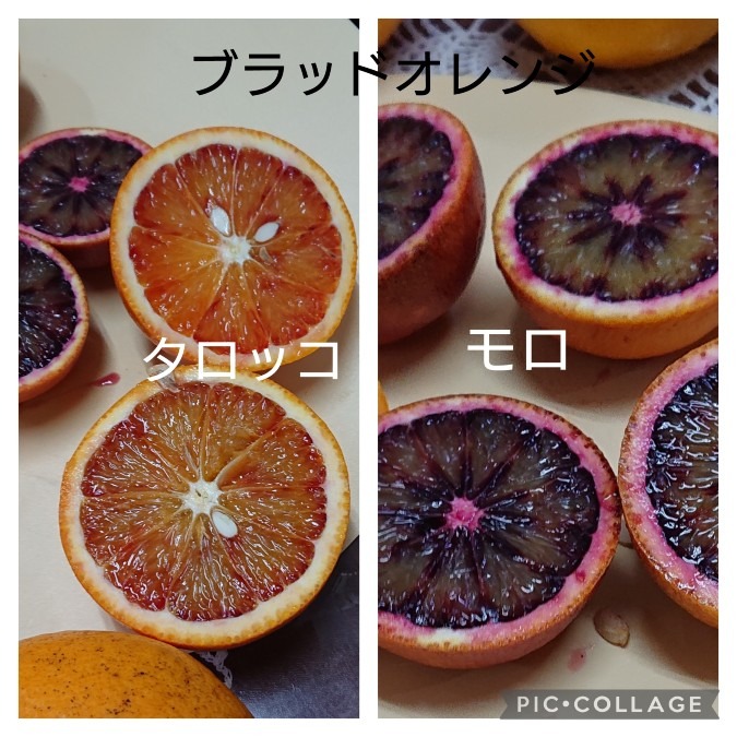 食べ比べ