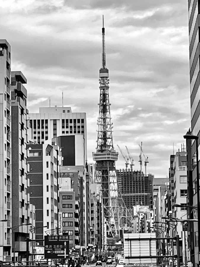 ✨東京の弟のお散歩景色✨