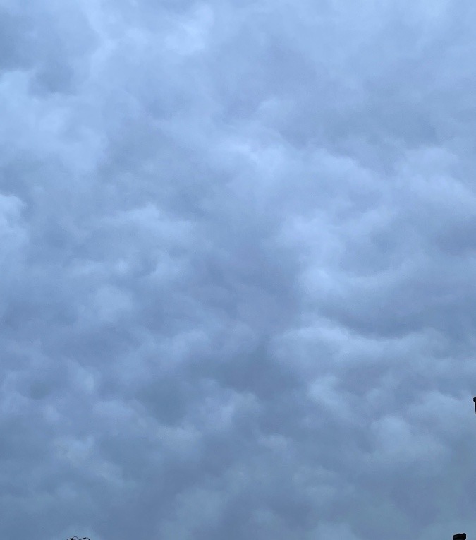 今日の雲🌨