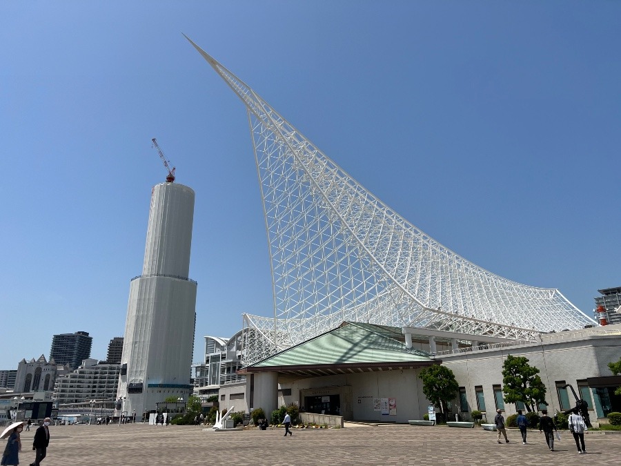 神戸ポートタワーが改装中〜😆✨