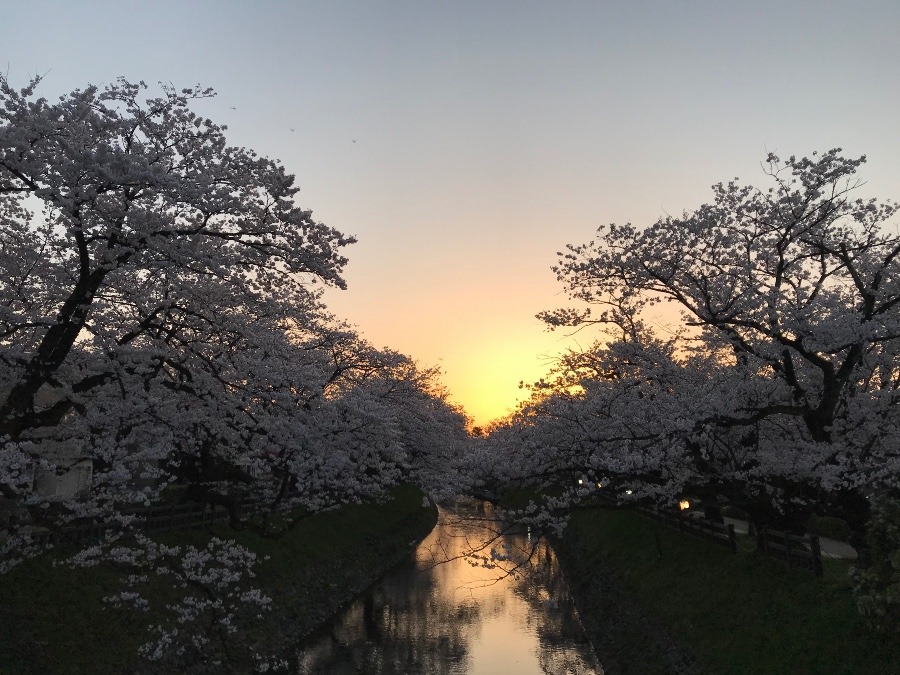 夕日のグラデーション✨