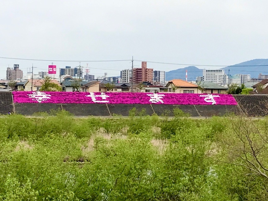 幸せます❣️