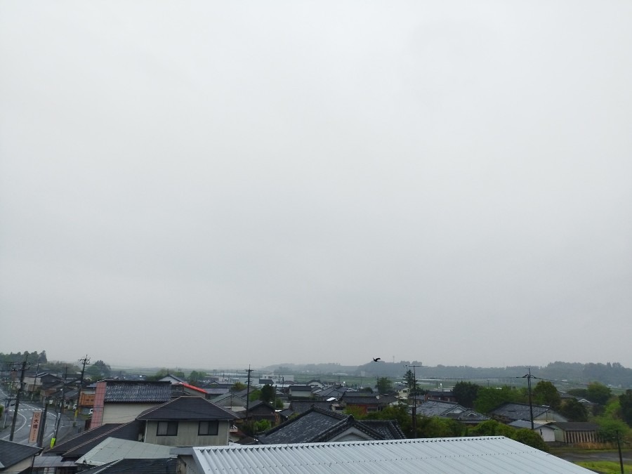 都城市（2022/4/14）　今朝は少し雨が降ってます😓🌂