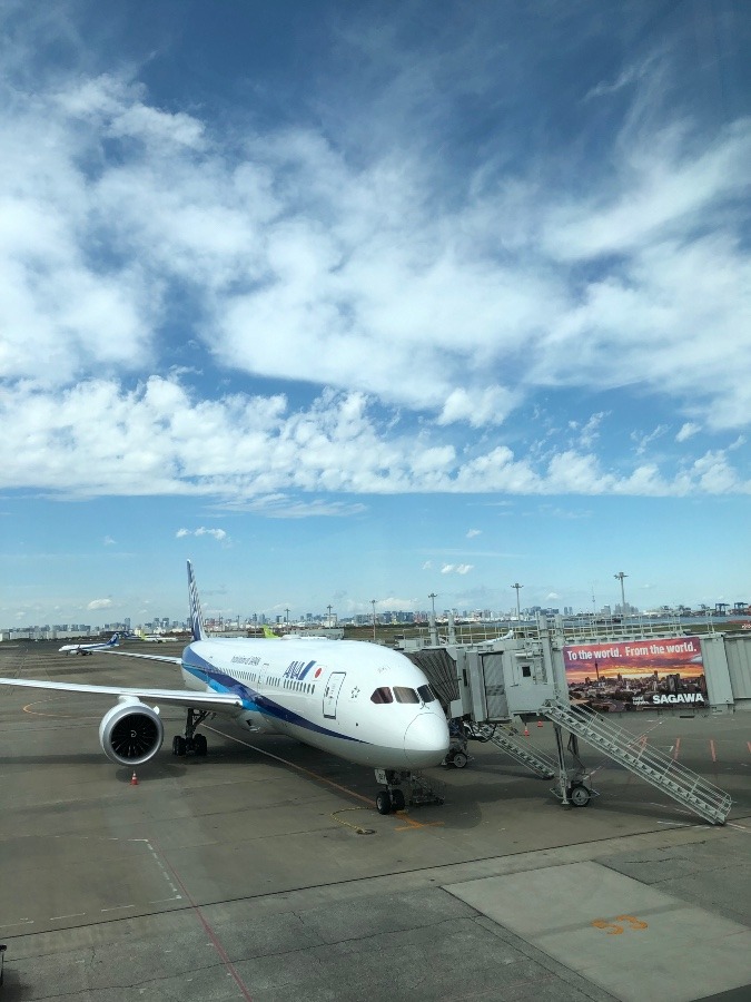 羽田空港の空