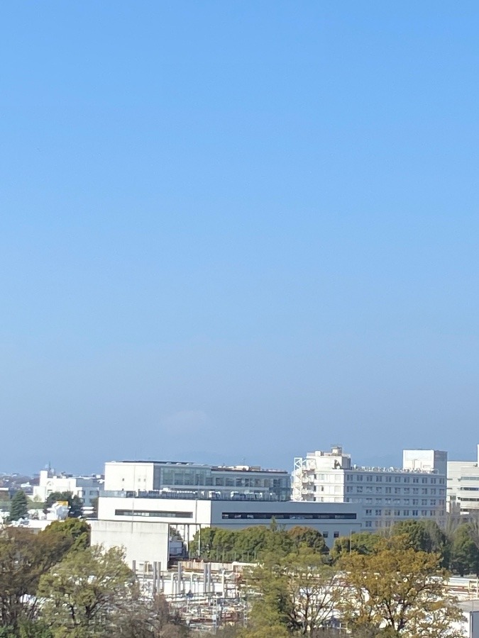 今朝の富士山