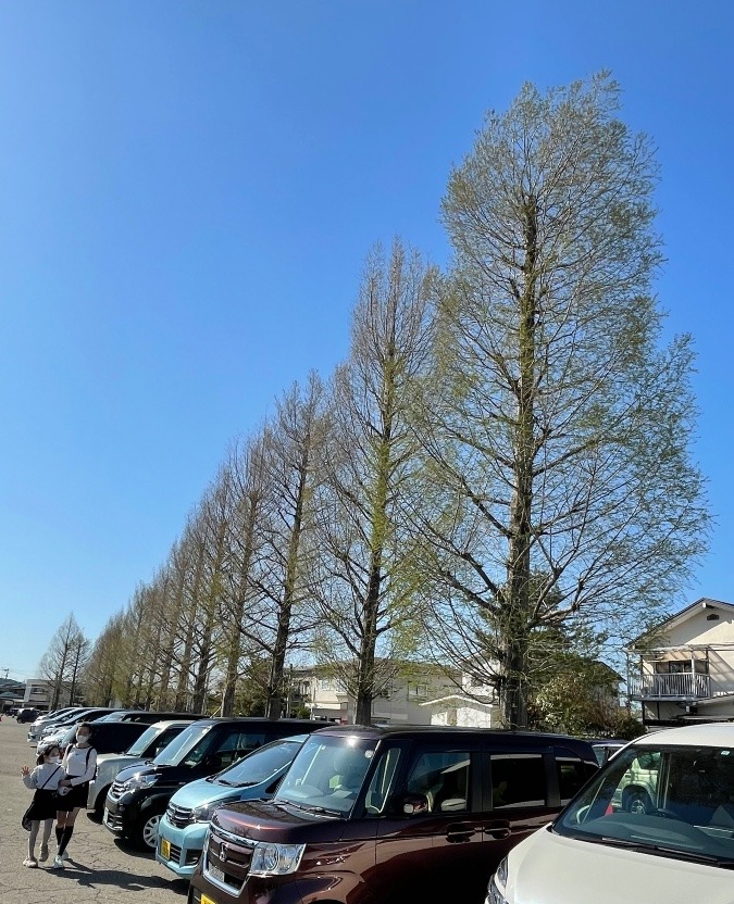 悠久山球場⚾️