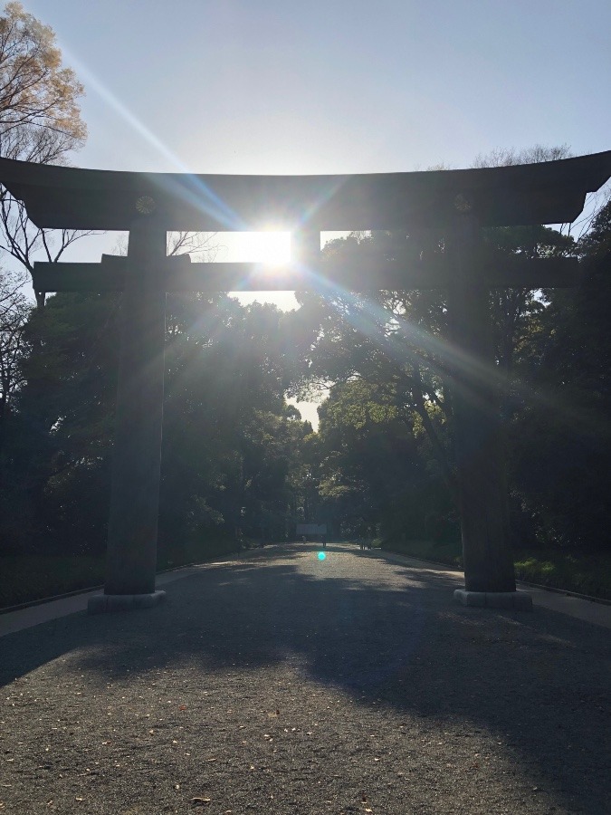 新たなはじまり　明治神宮