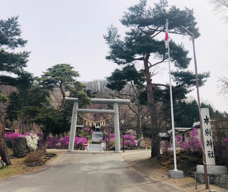 本別神社に花が咲き始める