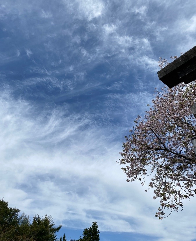 宮崎市江田神社上空2022年4月3日