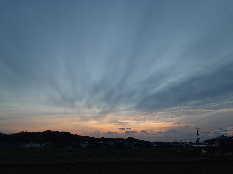 雲もくもく部❣️( ˶˙ᵕ˙˶ )🍀*゜