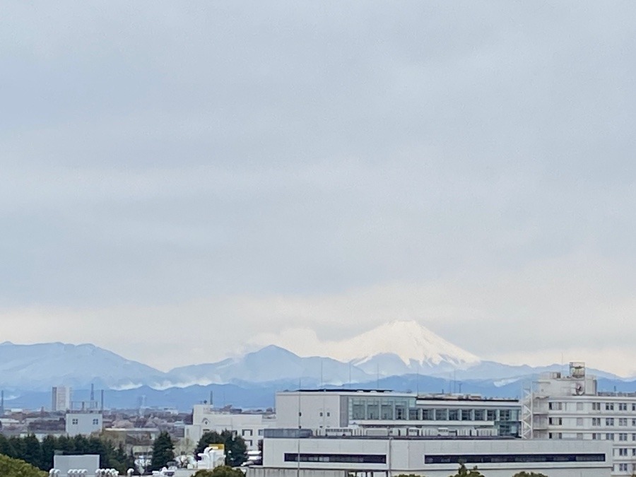 新雪❗️富士山