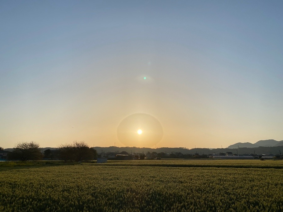 今朝の空