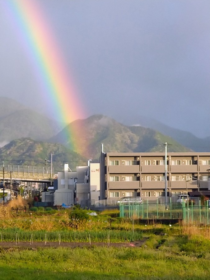 今朝の虹🌈