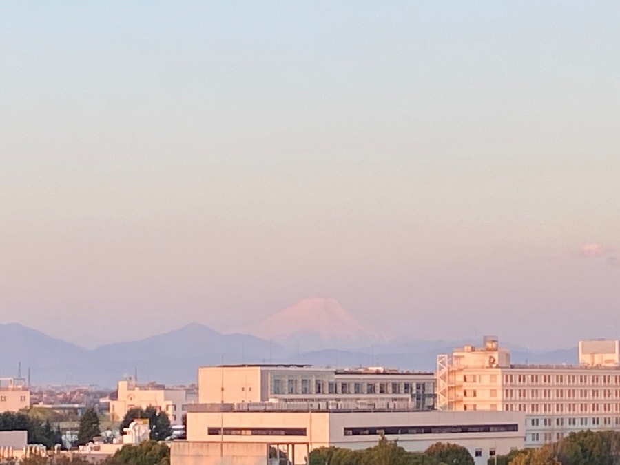４月８日　今朝の富士山