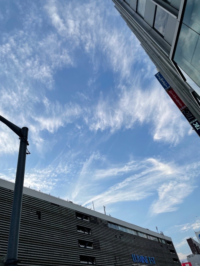 新宿の空