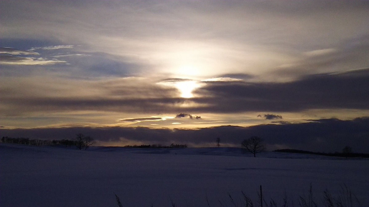 夕闇の雪原