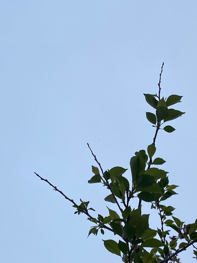 今日の空