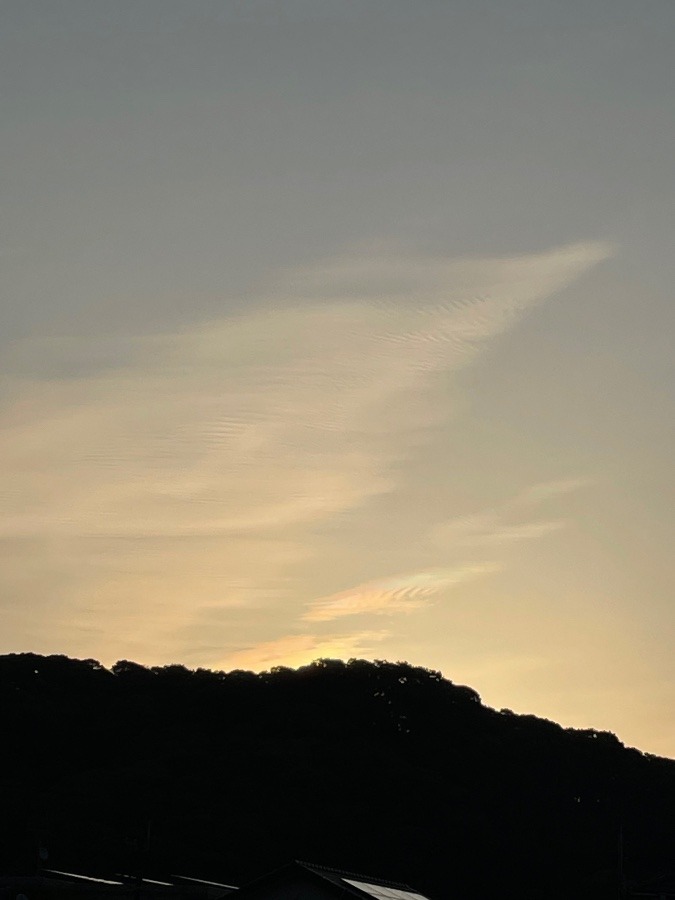 今朝の空✨