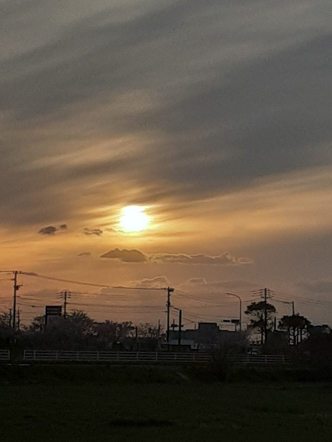 雲もくもく部❣️( ˶˙ᵕ˙˶ )🍀*゜