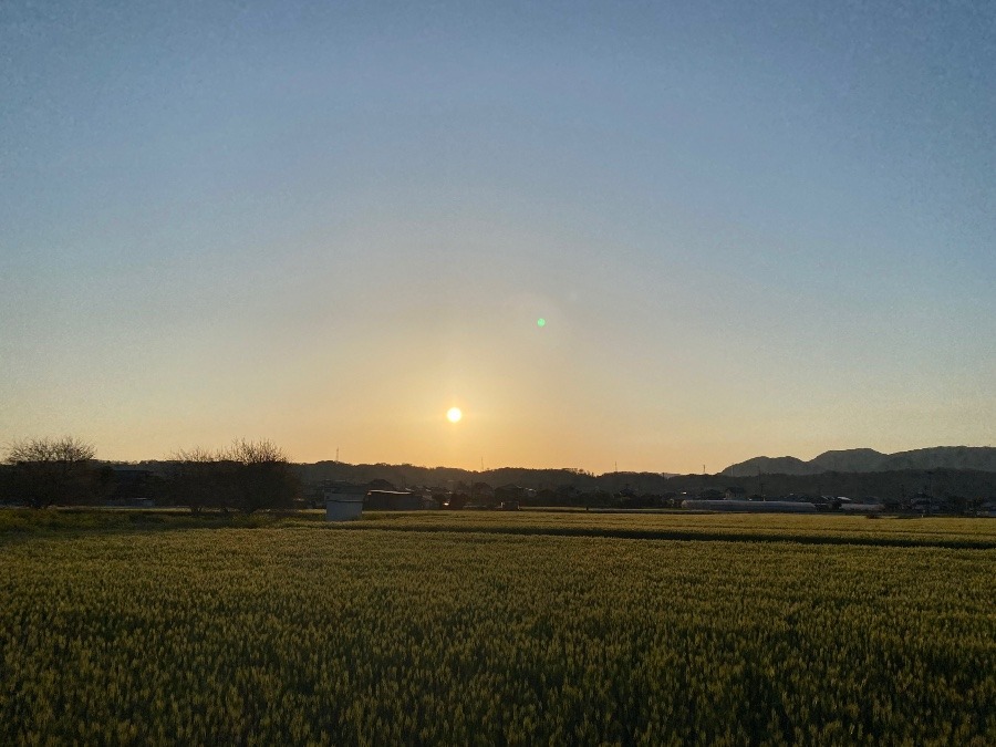 今朝の空♡