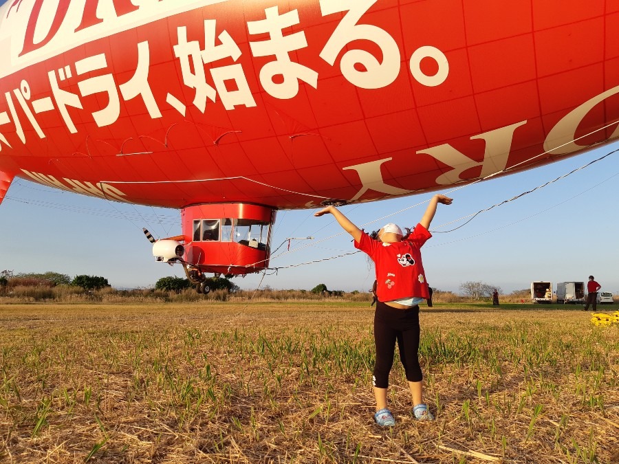 #我が家の力持ちです‼️