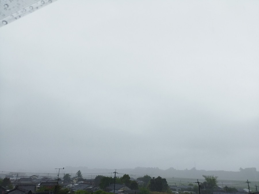 都城市（2022/4/24）　朝から雨☔😨