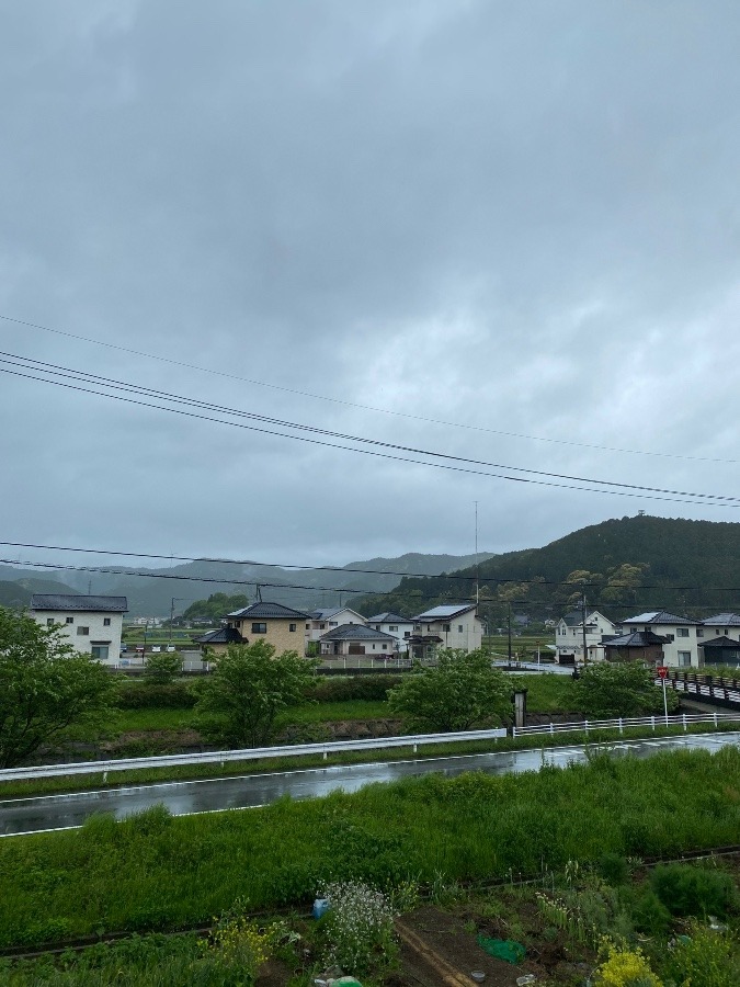 今日は生憎の雨だけど…