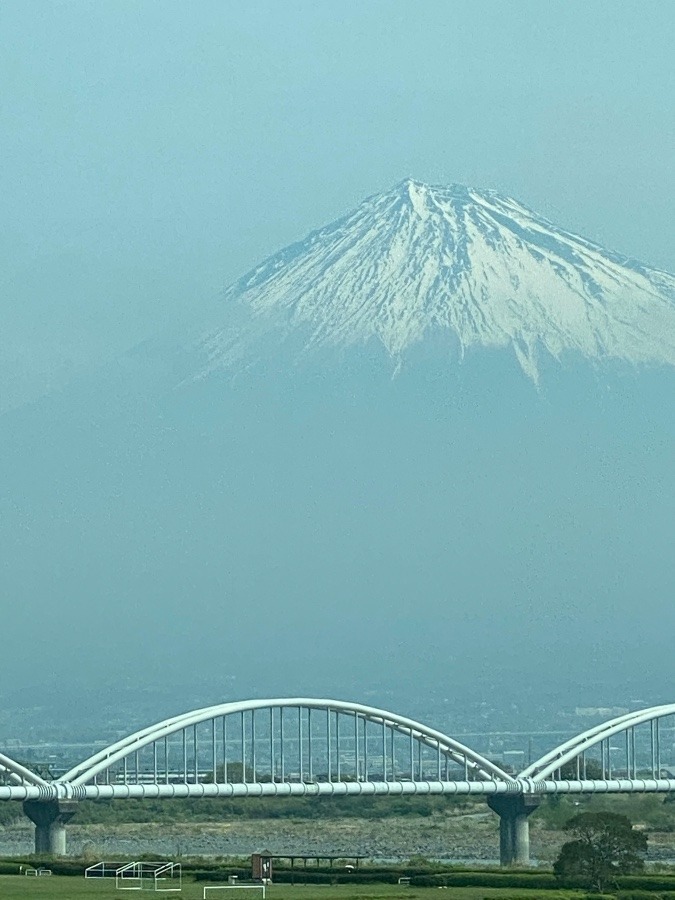 新幹線から富士山🎶