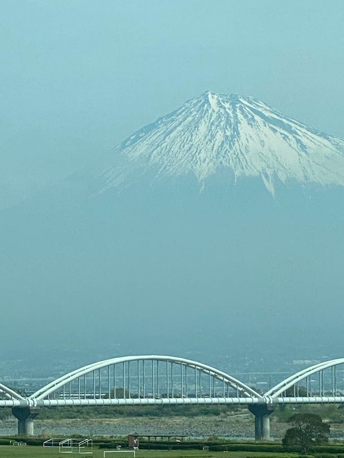 新幹線から富士山🎶