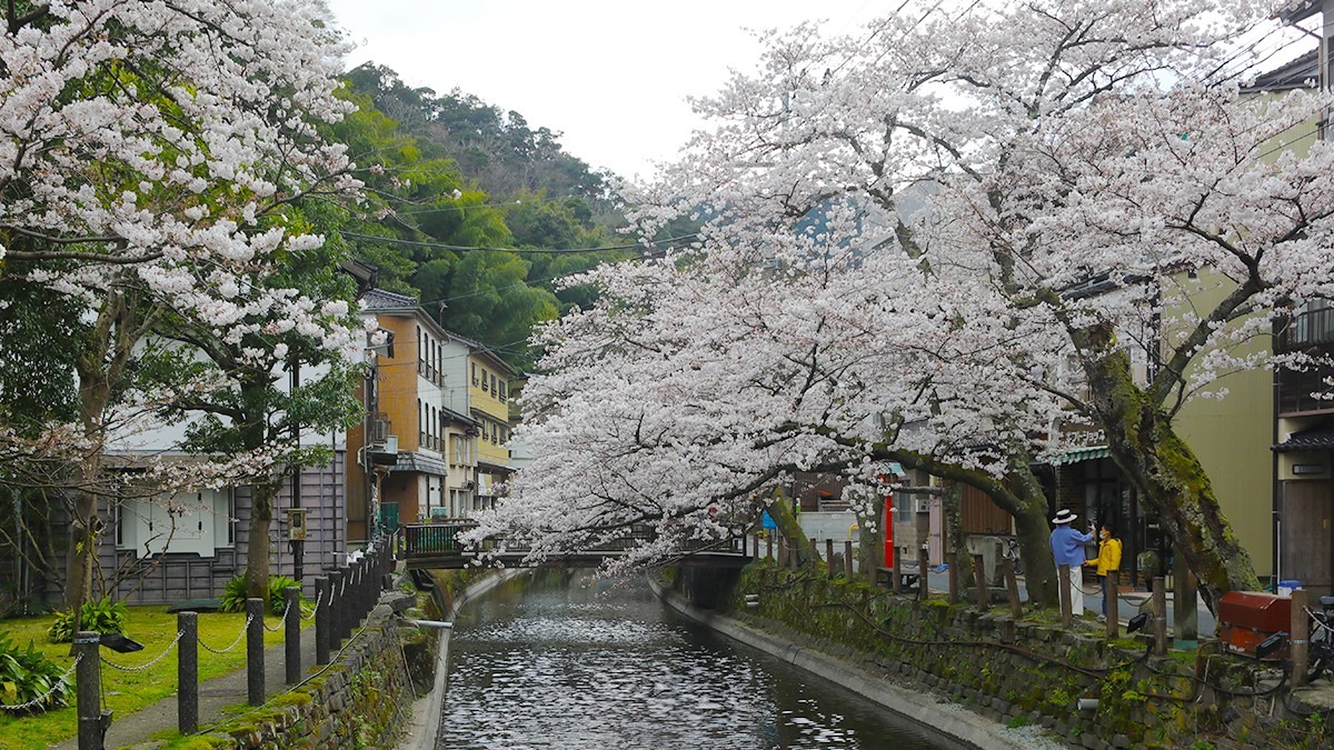 城の崎にて〜桜の細道②〜