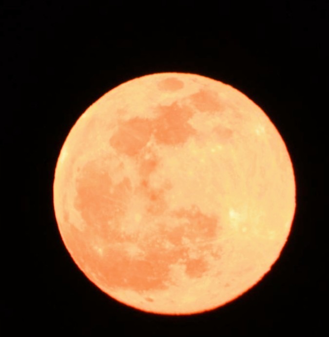 ピンクムーン🌕
