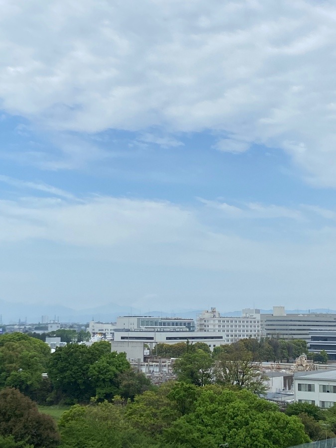 今朝の富士山