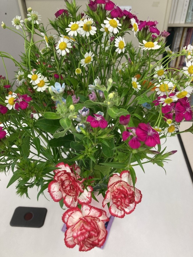 花倶楽部