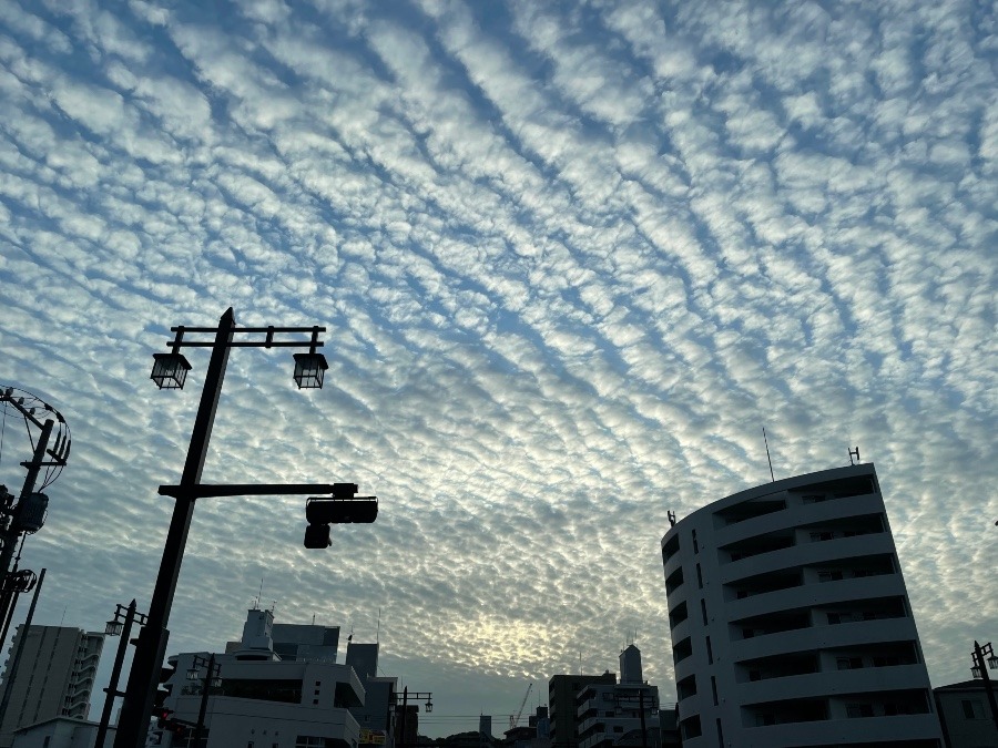 うろこ雲見つけた笑笑😆