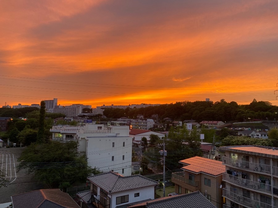 とある夕暮れ時の様子