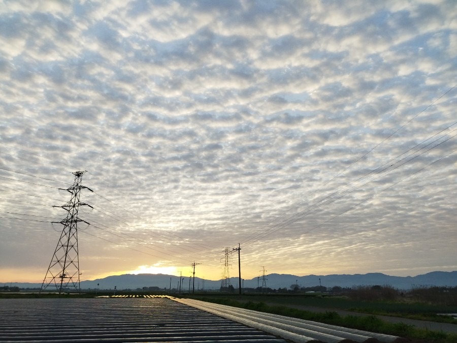 都城市（2022/4/6）　朝から晴れてま～す☀️　モコモコ雲いっぱい😅